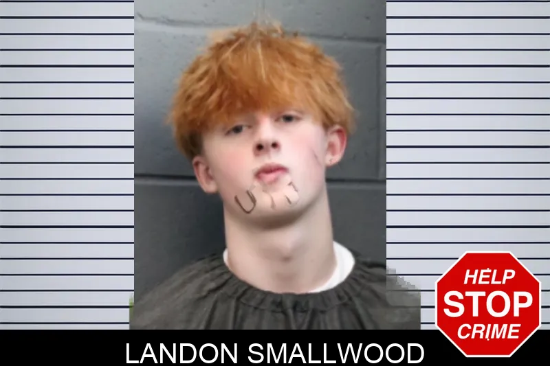 Landon Smallwood mugshot