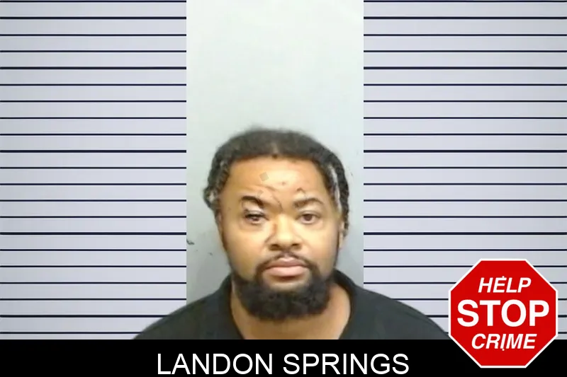Landon Springs mugshot
