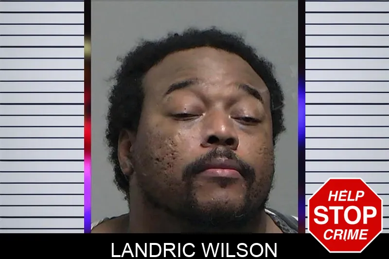 Landric Wilson mugshot