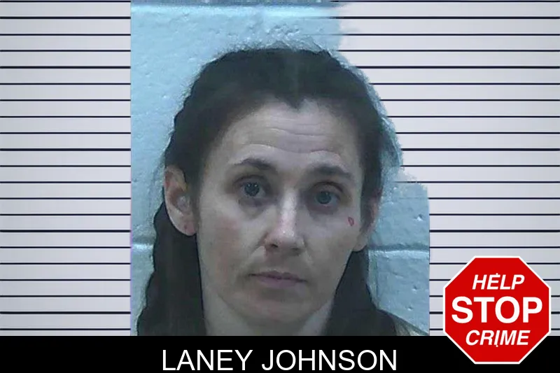 Laney Johnson mugshot