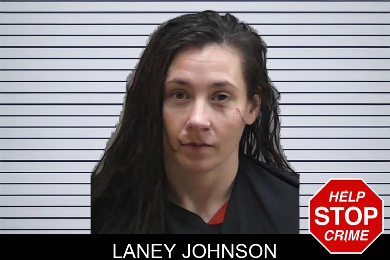 Laney Johnson mugshot