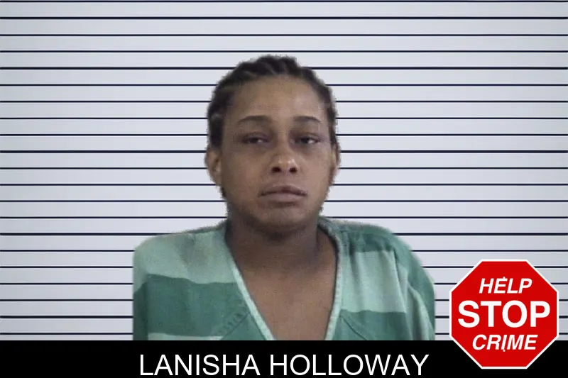 Lanisha Holloway mugshot