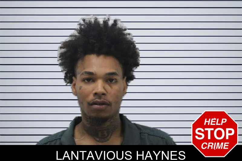 Lantavious Haynes mugshot