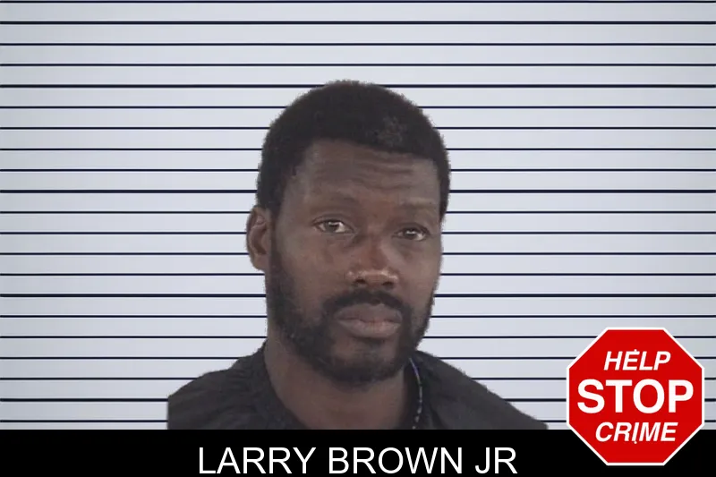 Larry Brown Jr mugshot