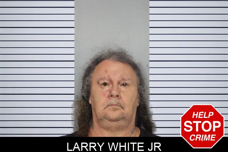 Larry White Jr mugshot