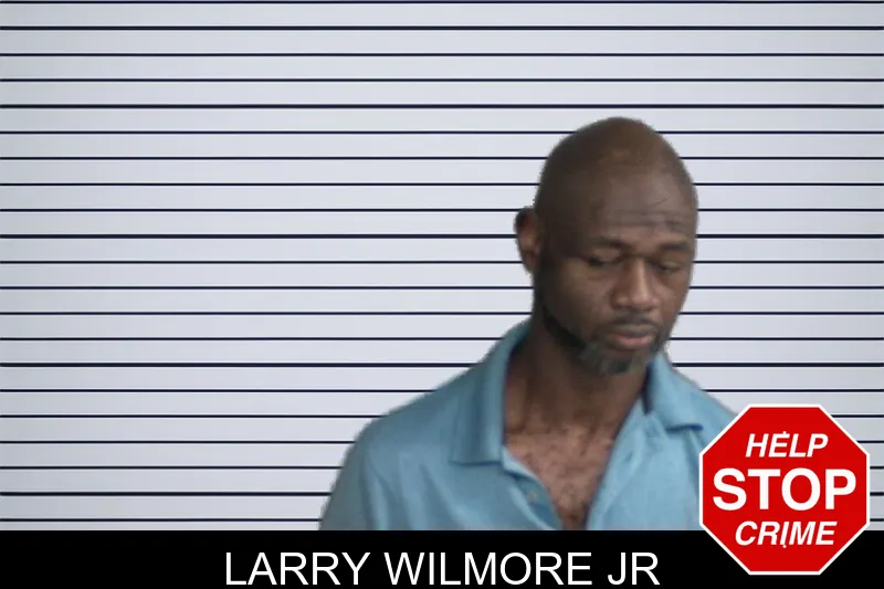 Larry Wilmore Jr mugshot