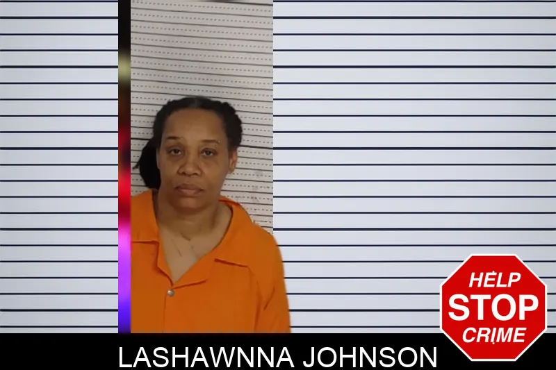 Lashawnna Johnson mugshot