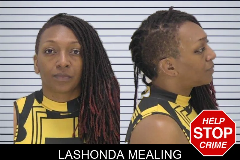 Lashonda Mealing mugshot