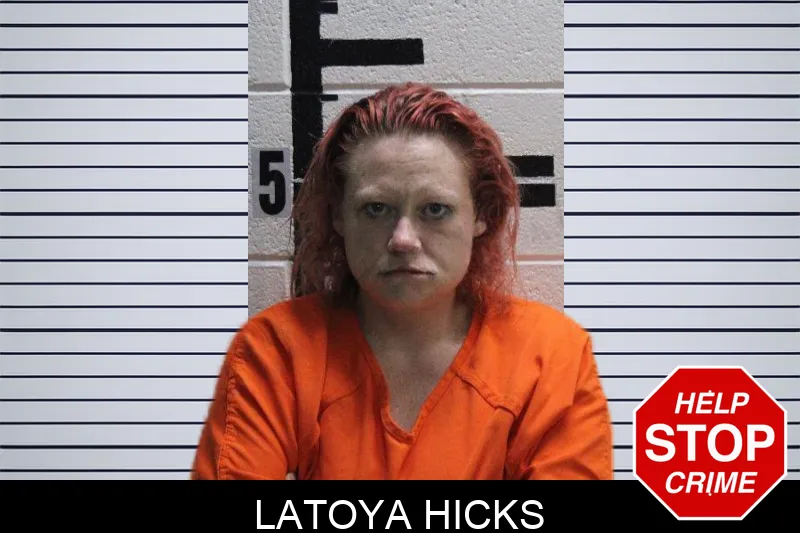 Latoya Hicks mugshot