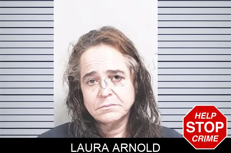 Laura Arnold mugshot