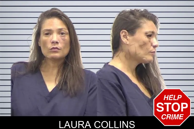Laura Collins mugshot