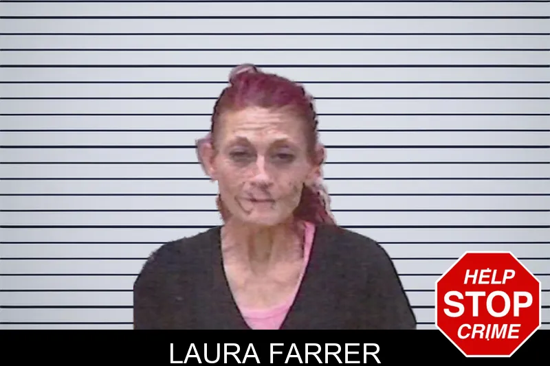 Laura Farrer mugshot