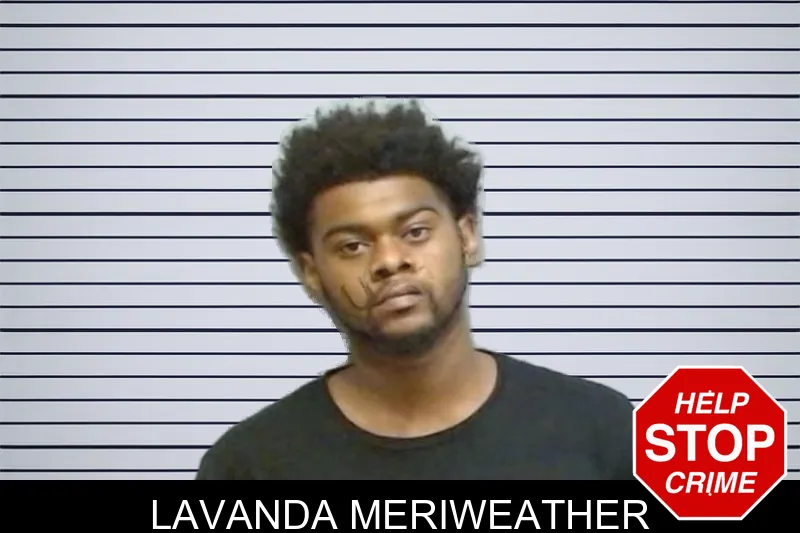 Lavanda Meriweather mugshot