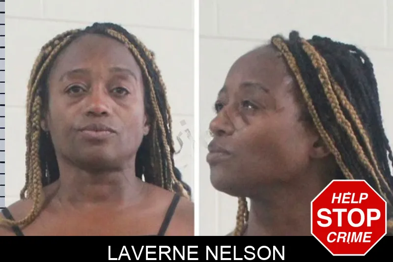 Laverne Nelson mugshot