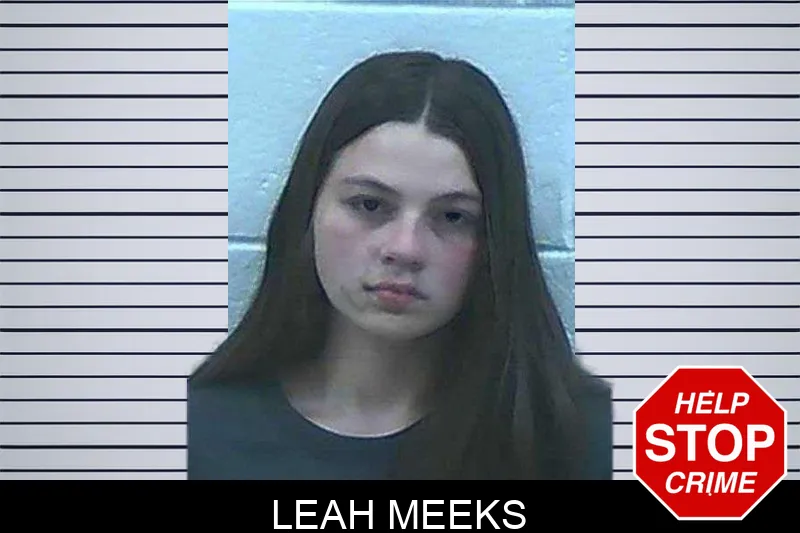 Leah Meeks mugshot