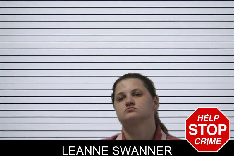 Leanne Swanner mugshot