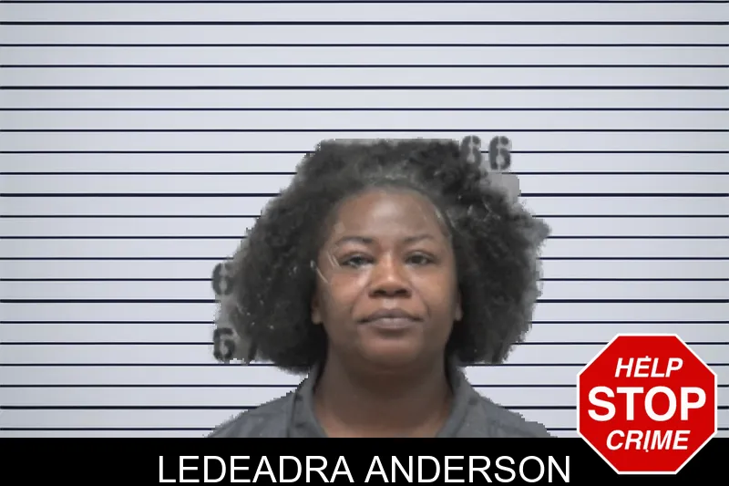Ledeadra Anderson mugshot