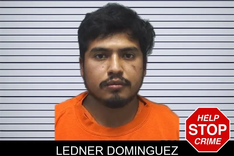 Ledner Dominguez mugshot