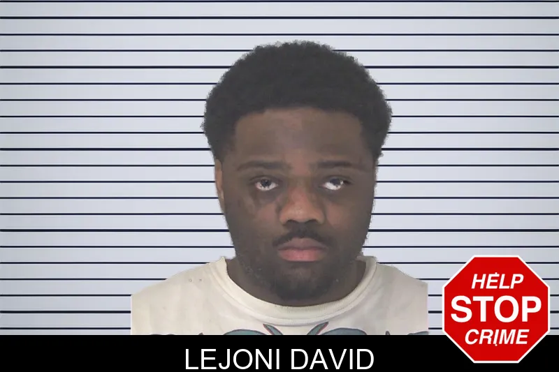 Lejoni David mugshot