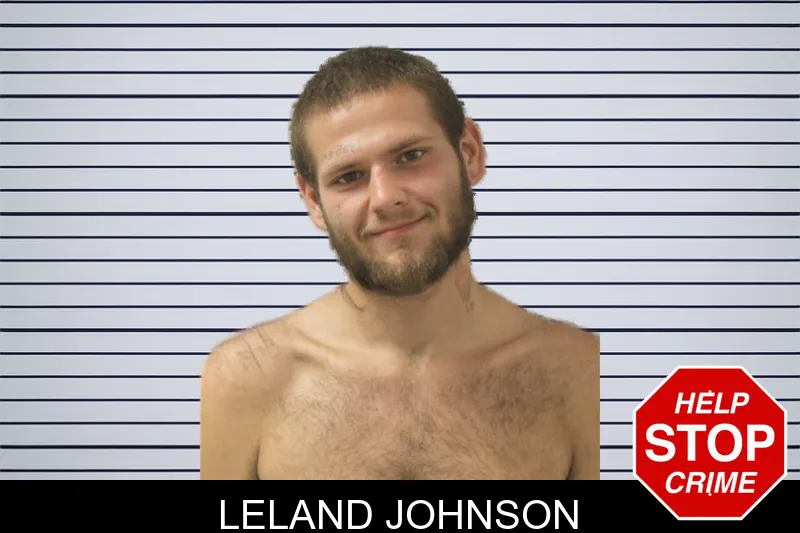 Leland Johnson mugshot