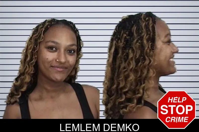 Lemlem Demko mugshot