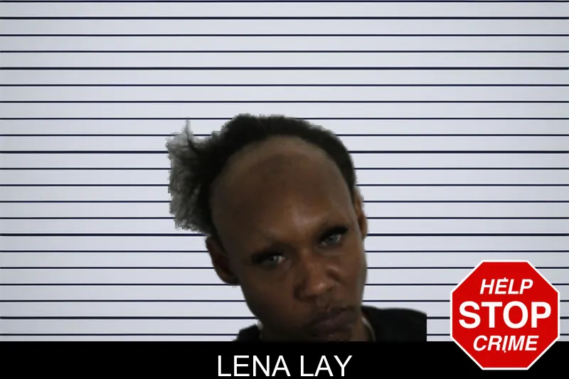 Lena Lay mugshot