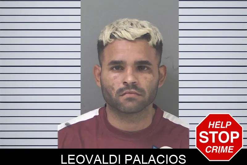 Leovaldi Palacios mugshot