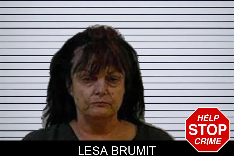 Lesa Brumit mugshot
