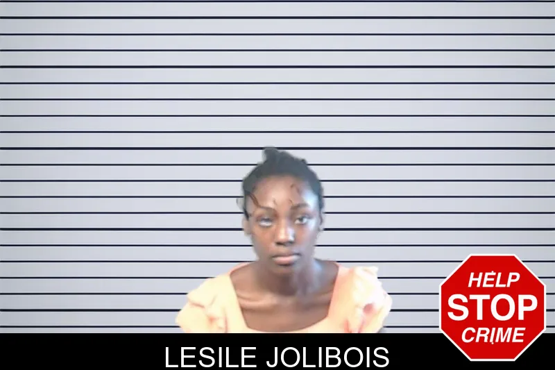 Lesile Jolibois mugshot