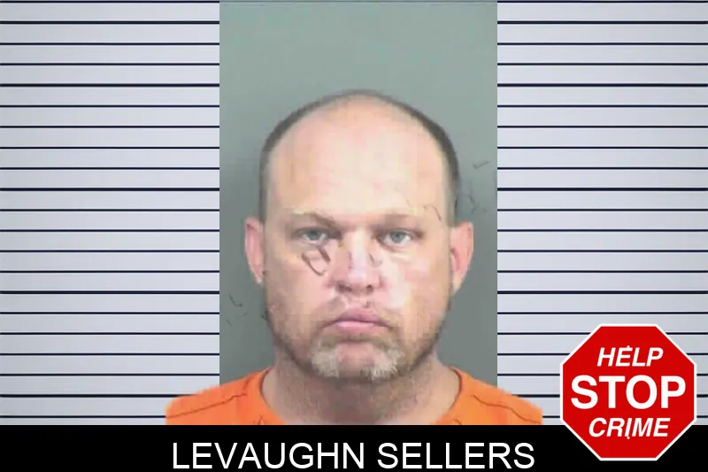 Levaughn Sellers mugshot