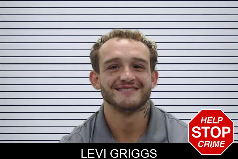 Levi Griggs mugshot