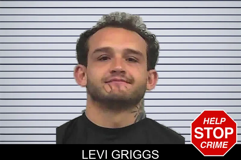 Levi Griggs mugshot