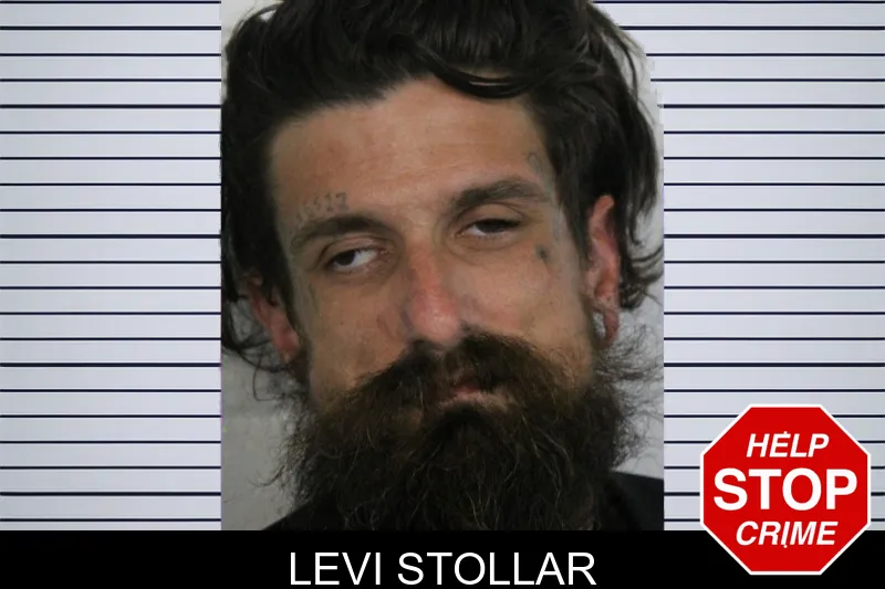 Levi Stollar mugshot