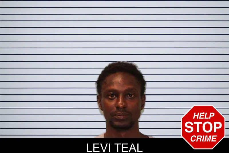 Levi Teal mugshot