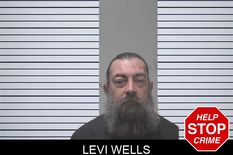 Levi Wells mugshot