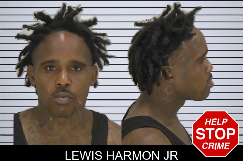 Lewis Harmon Jr mugshot