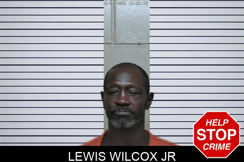 Lewis Wilcox Jr mugshot