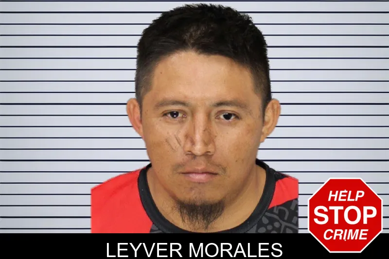 Leyver Morales mugshot
