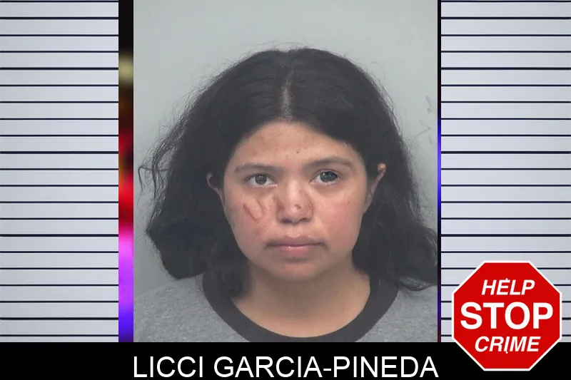 Licci Garcia-Pineda mugshot