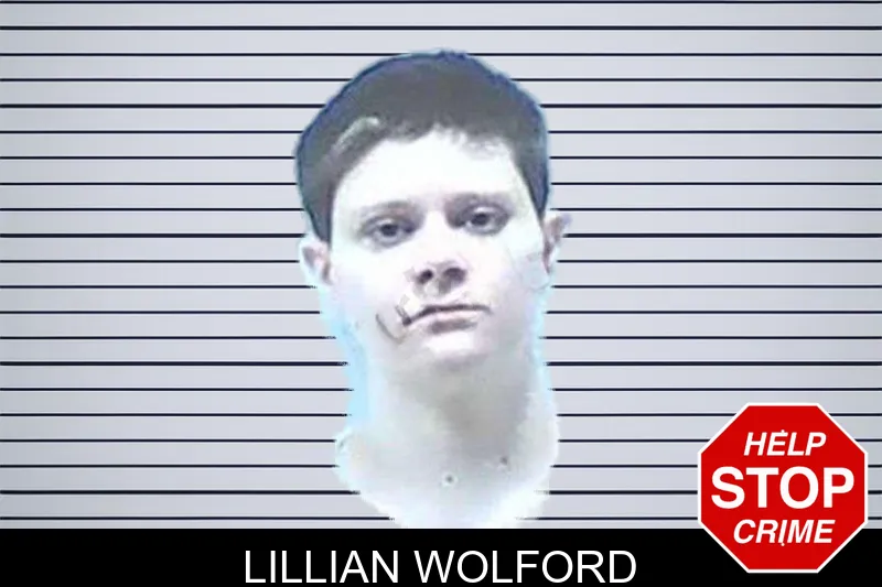 Lillian Wolford mugshot