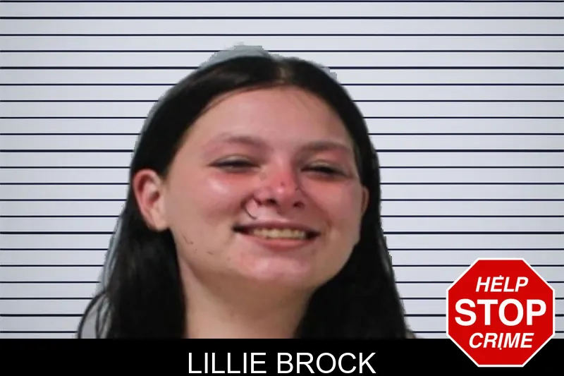 Lillie Brock mugshot