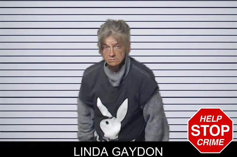 Linda Gaydon mugshot