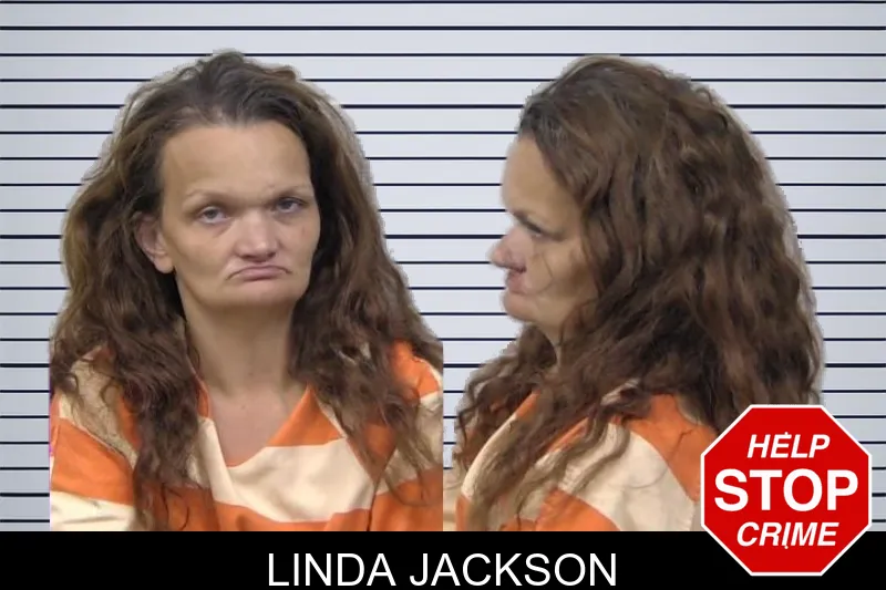 Linda Jackson mugshot