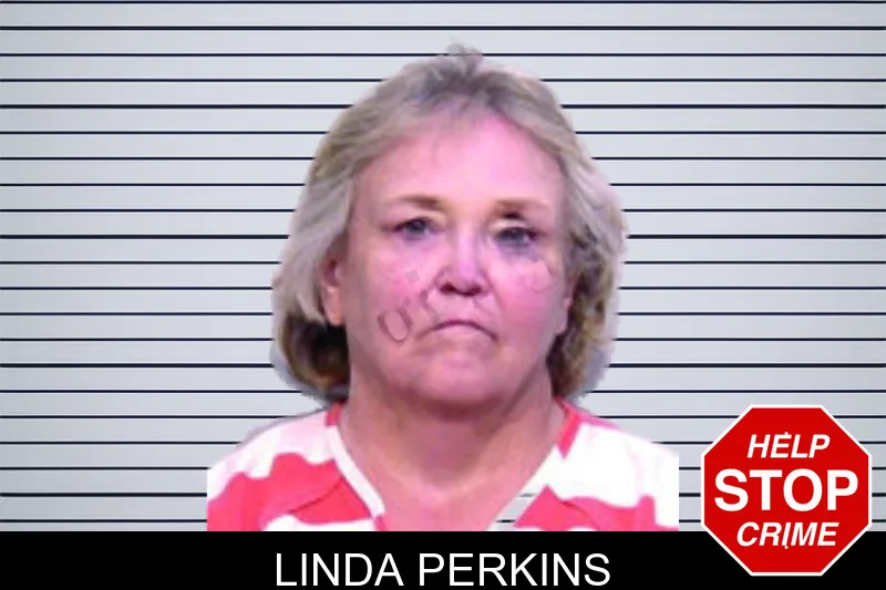 Linda Perkins mugshot