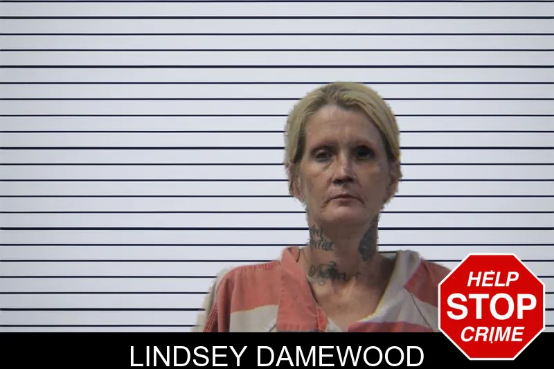 Lindsey Damewood mugshot