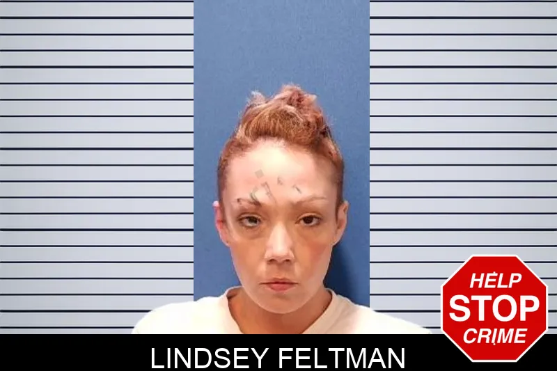 Lindsey Feltman mugshot