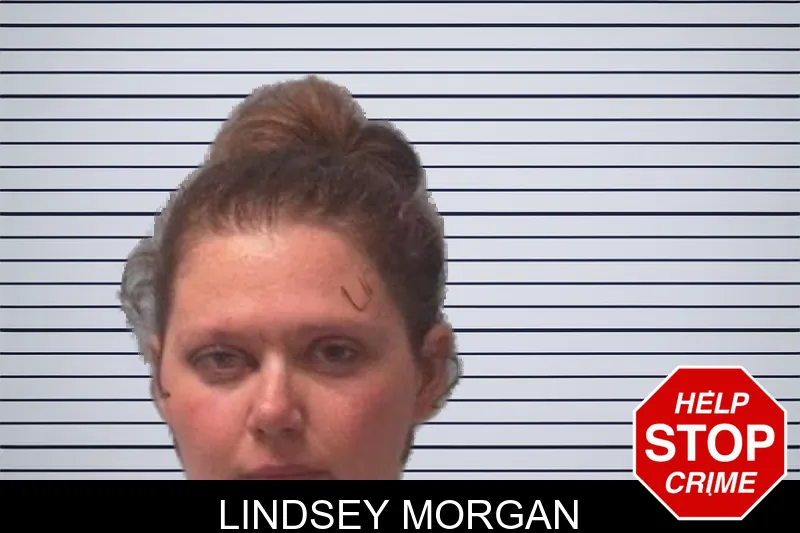 Lindsey Morgan mugshot