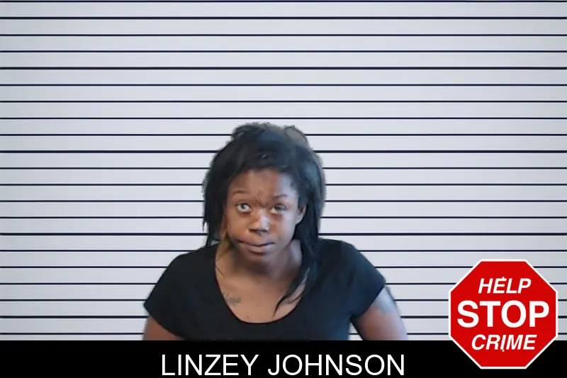 Linzey Johnson mugshot