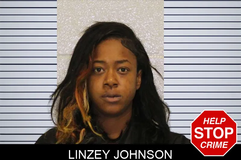 Linzey Johnson mugshot – Carroll County , Georgia Linzey Johnson mugshot