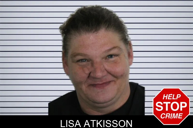 Lisa Atkisson mugshot